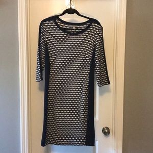Navy & white Dressbarn brand dress